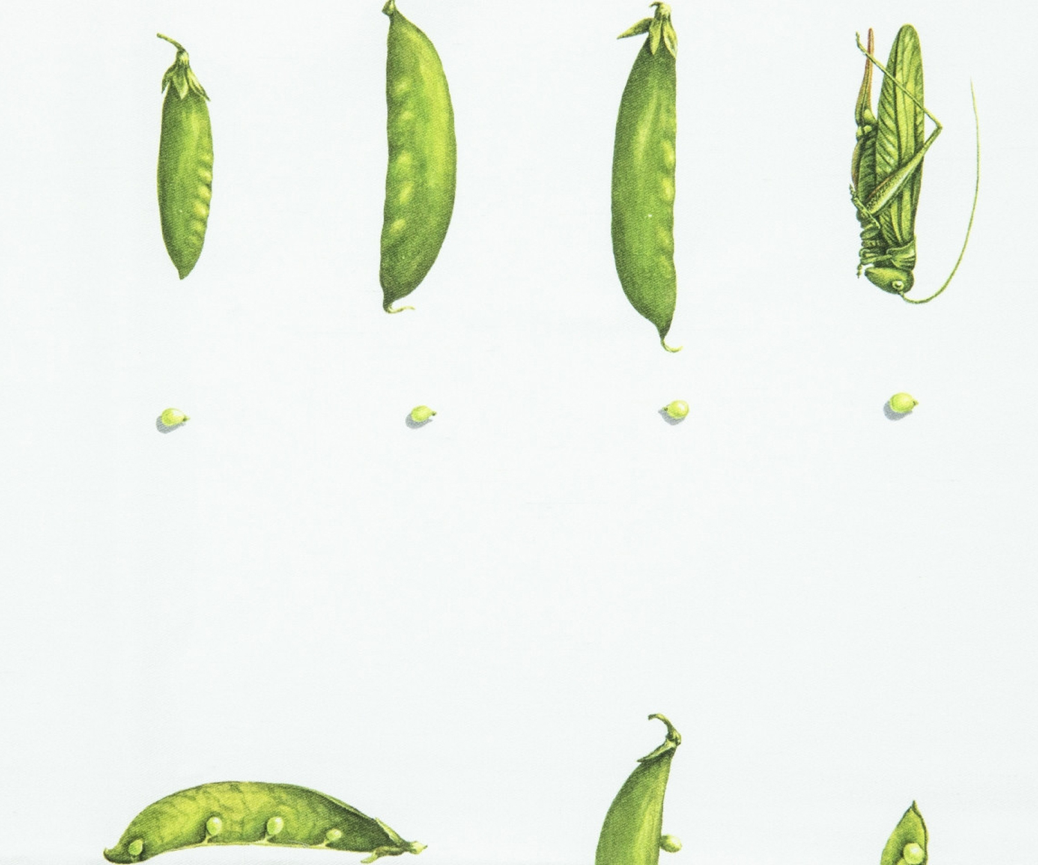 Fischbacher-Erbse-Gardenparty Fischbacher Garden Party ERBSE Dekostoff