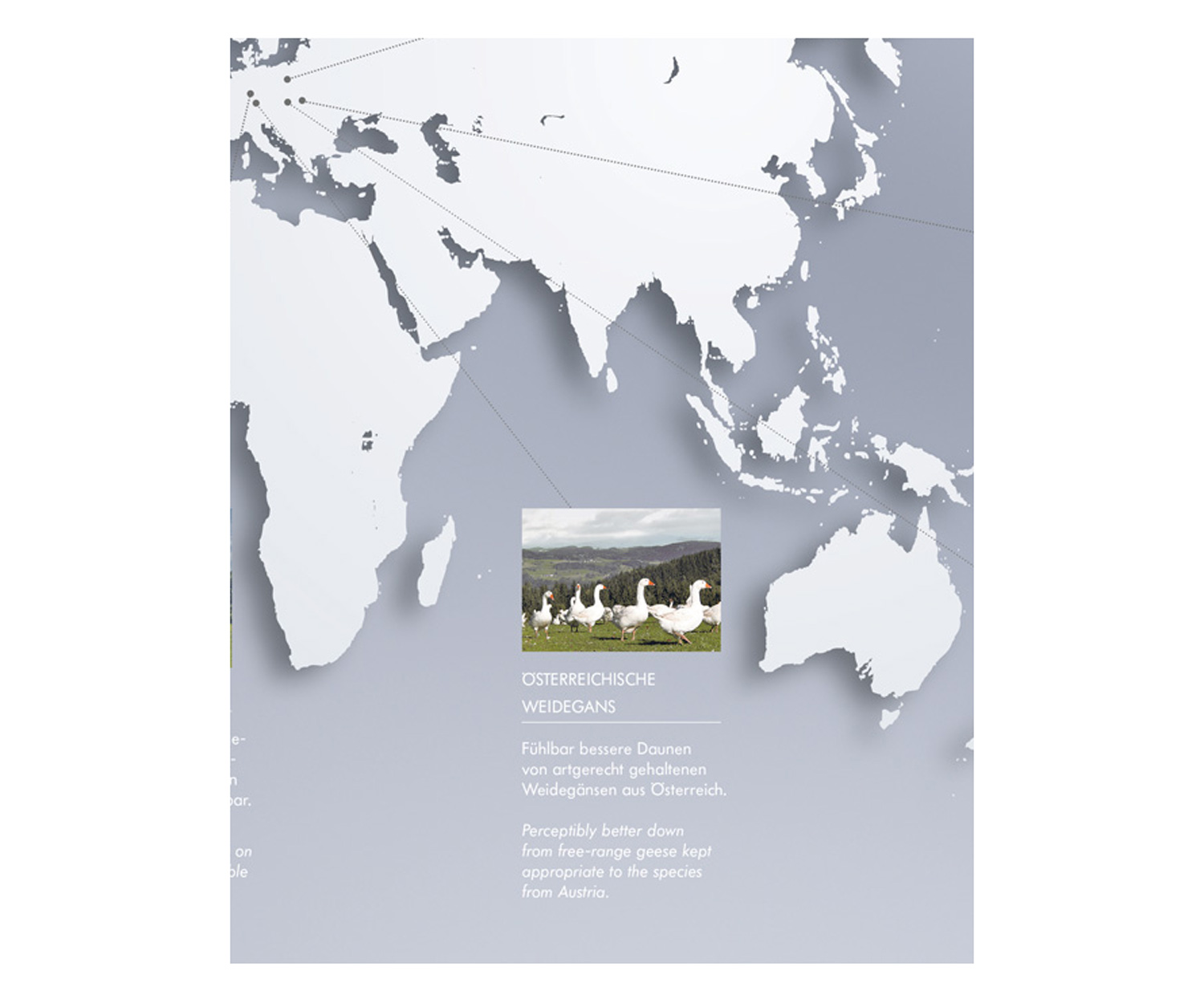 Kauffmann-Weltkarte-Weidegansn8YbjDUg44P3q Kauffmann Daunendecke WEIDEGANS