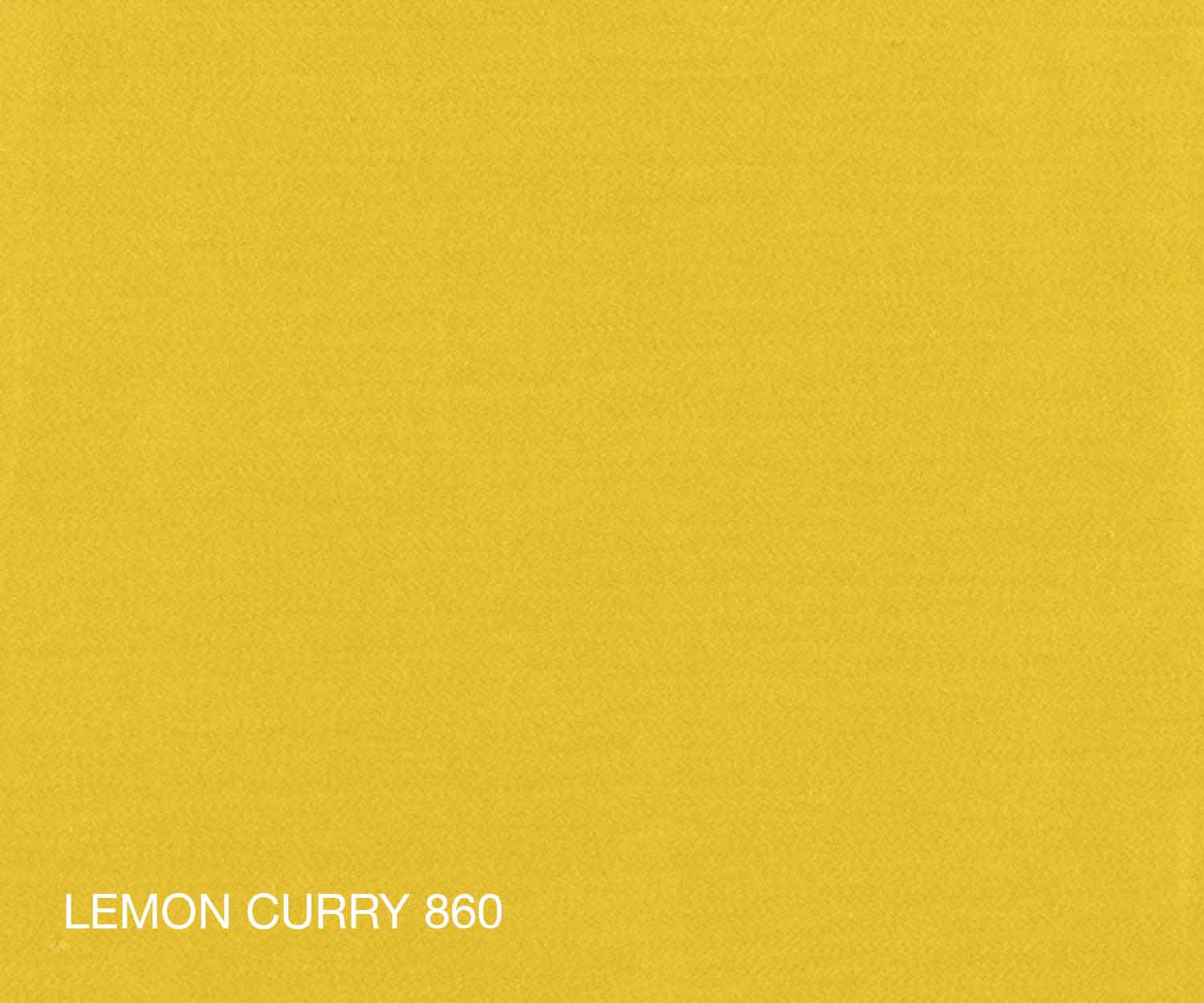Nara 860 lemon curry